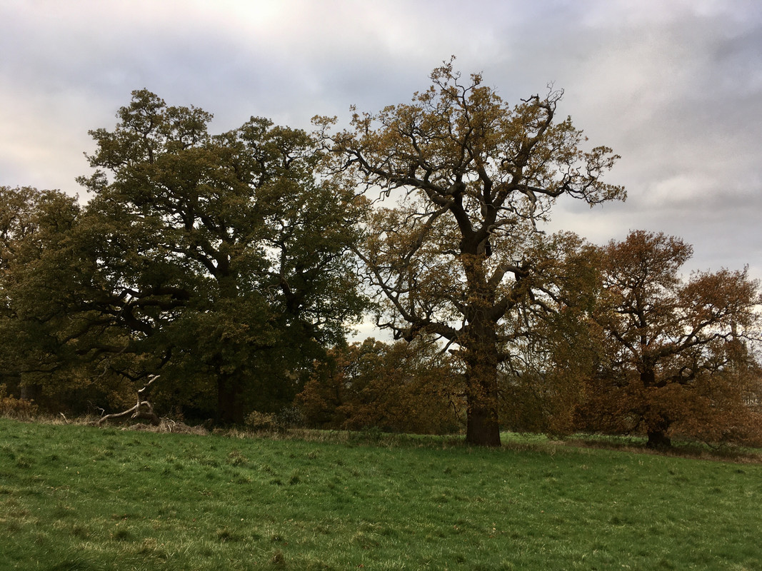 AB2B8A44-B3FA-464E-9936-6F7078878D07