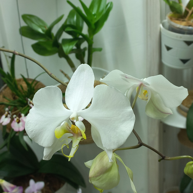 w9e Ere Kd HX5h H8u DM5808 Bx6g BFr C6n2 e2sl86Rc If WF1YHmmu Vr Sm LZhy0atd OBfq J 7w Avx2XQVDE9hk2