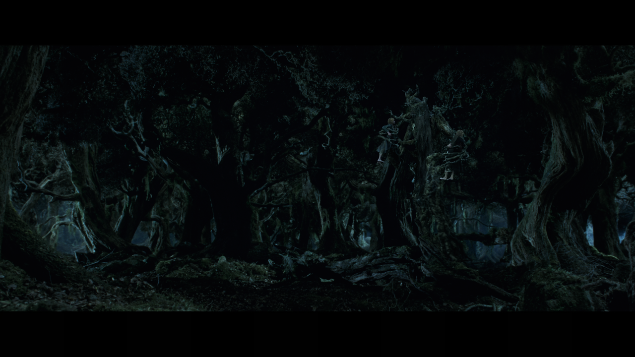 The Lord of the Rings- The Two Towers (EXT.) PT. 1.mkv_snapshot_00.40.37_[2020.12.08_17.58.02]