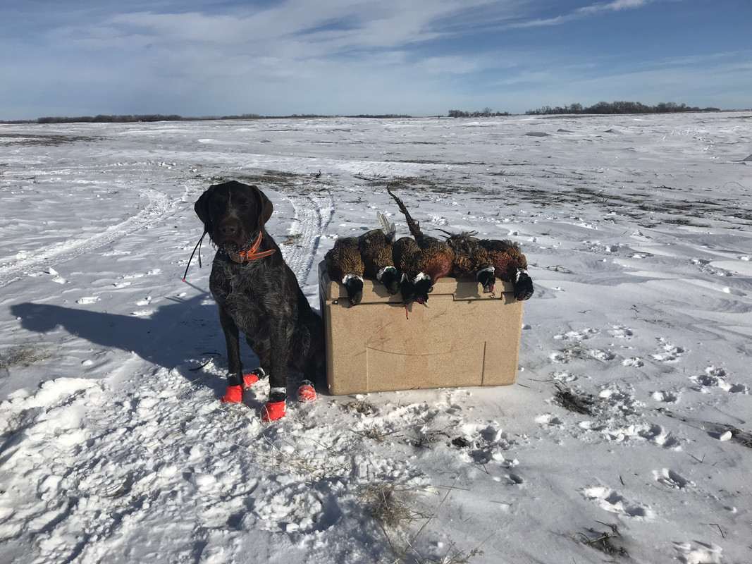 0CB918E3-16C1-4DF3-9FC2-D4B4823E65D0