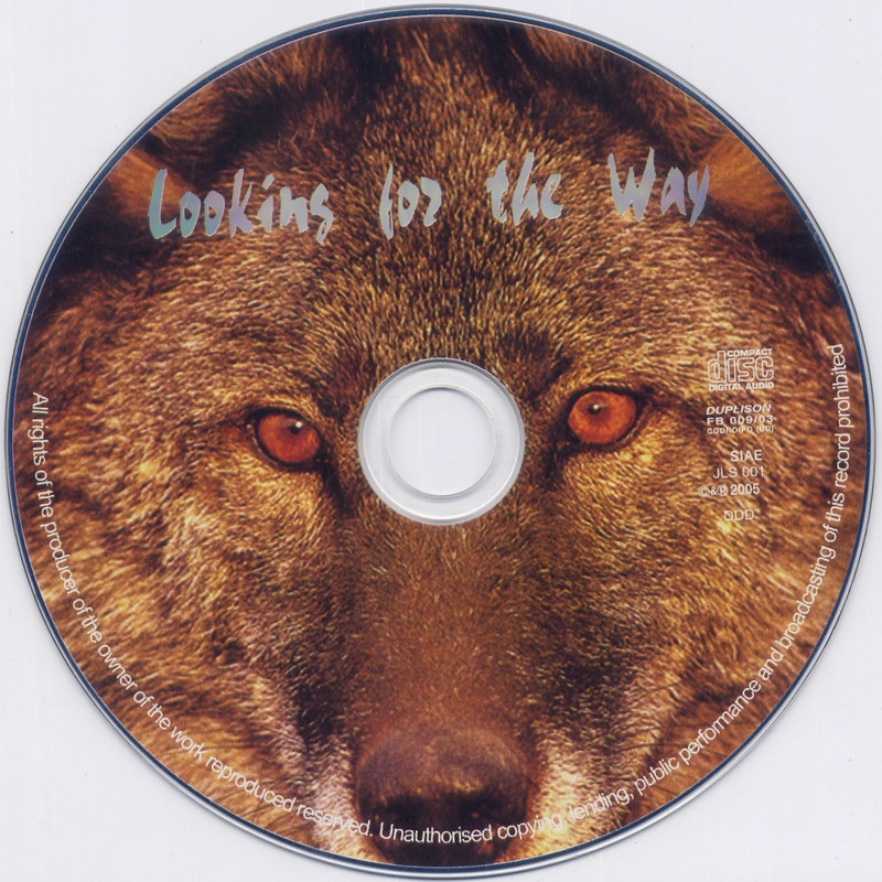 Looking For The Way - Salaska