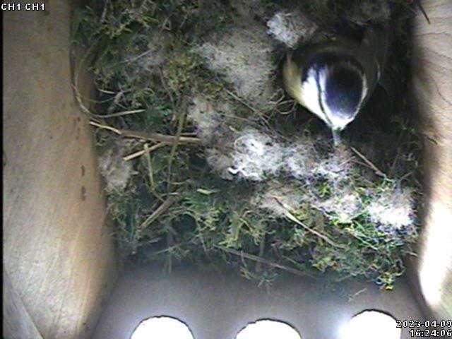 D6D8A945-E87D-4059-8080-571B6ACCBF25