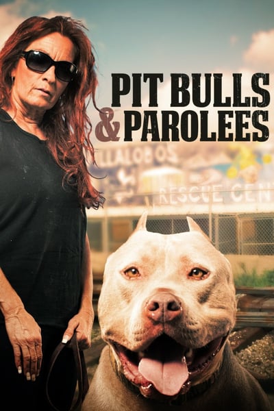 Pit Bulls and Parolees S18E01 Evading Capture 1080p HEVC x265