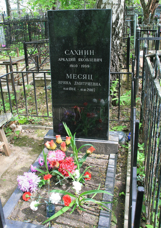 sahnin-ay