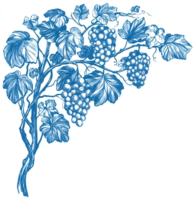Grapes