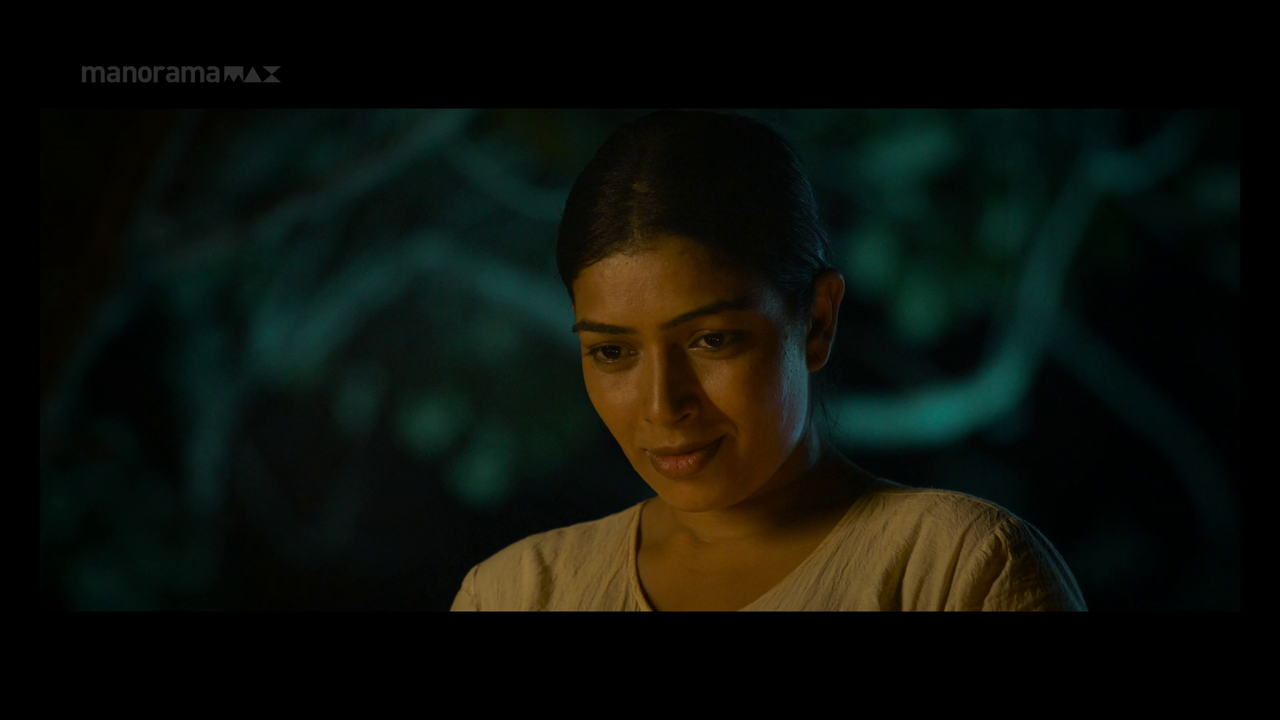 vlcsnap 2026 02 02 13h52m00s233