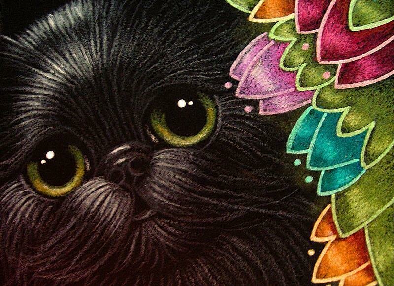 24-BLACK-PERSIAN-CAT-IN-MY-RAINBOW-FLOWERS-GARDENjpg