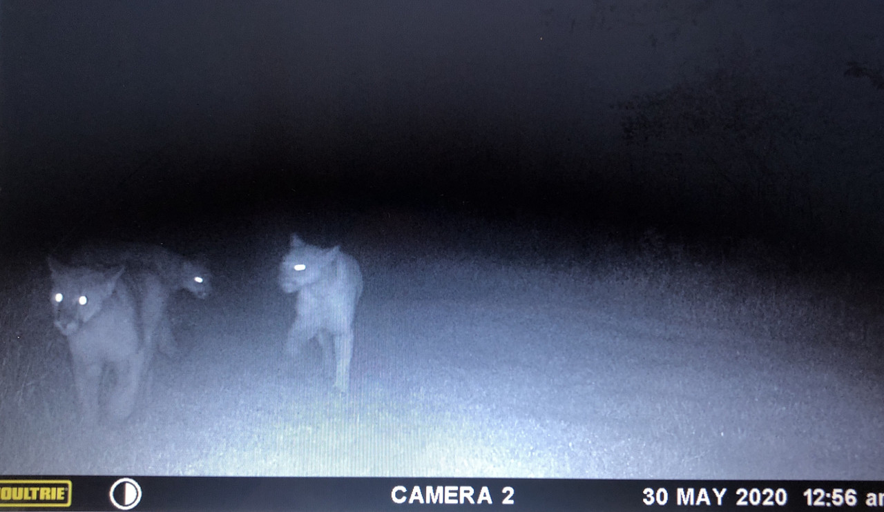 B293-DF8-C-1-C2-D-438-B-8959-599-C1517-D