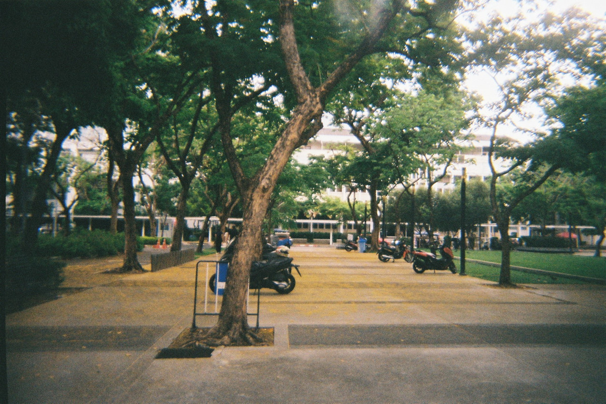 Kodak-Gold-56-resized