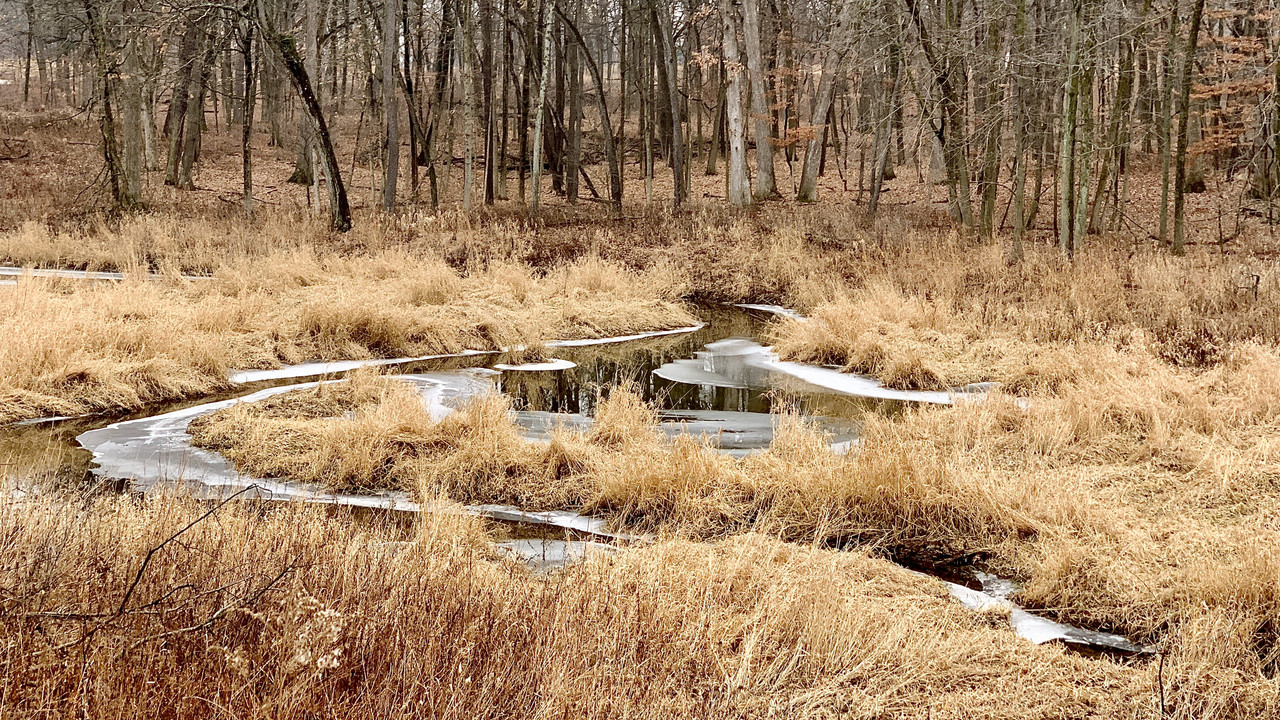 132D022F-D456-4159-A907-2DB1A4C5204A