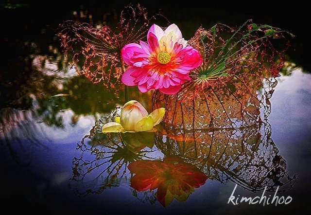 [Image: IMG-9999.jpg]