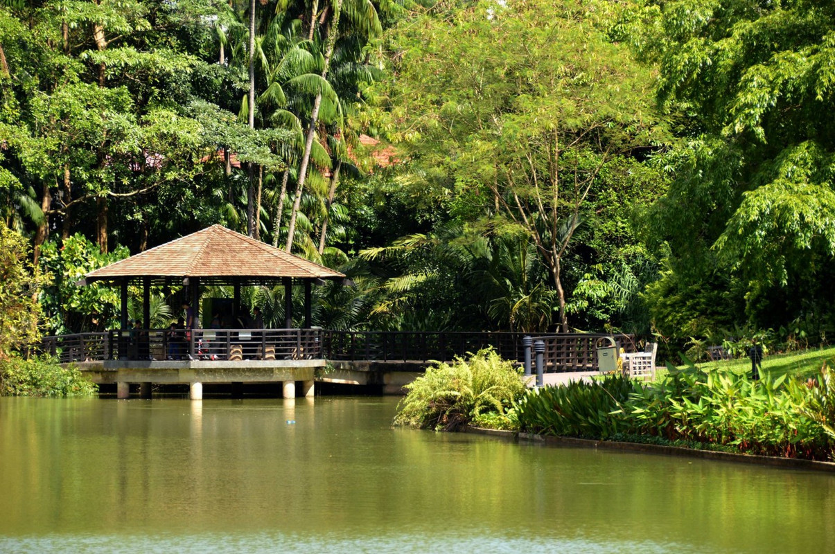 green-singaore-botanical-gardens.jpg