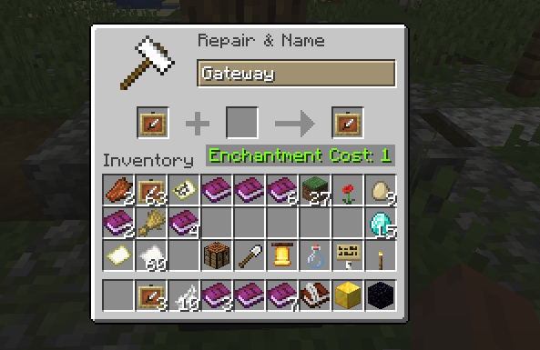 A player is about to name an item frame using a portal. It only costs 1 level of EXP!