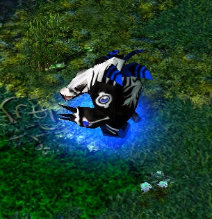 Ursa