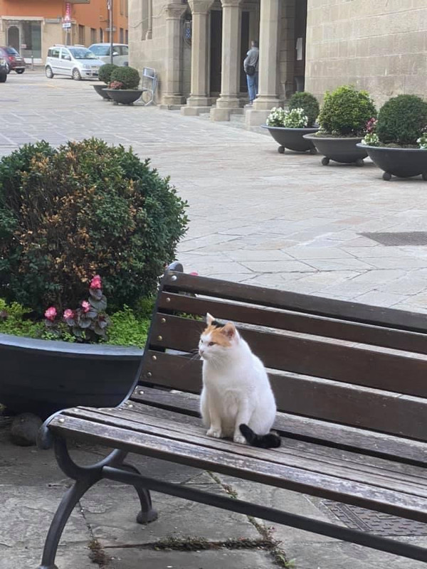 CE01587B-2652-42EC-8FAB-B8C311468202