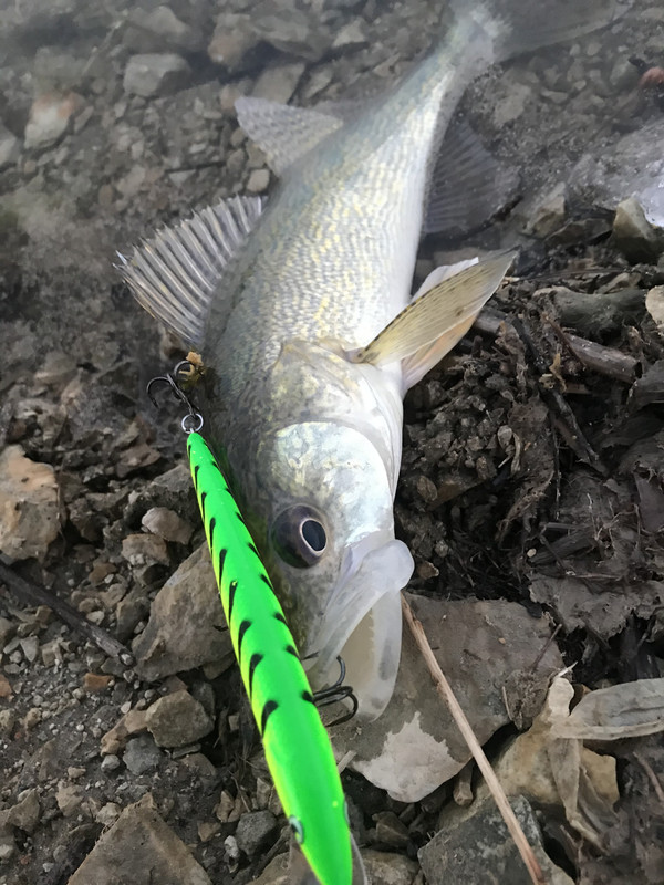 CF6AA20E-1F7C-4E70-A765-50A7C2A0C652