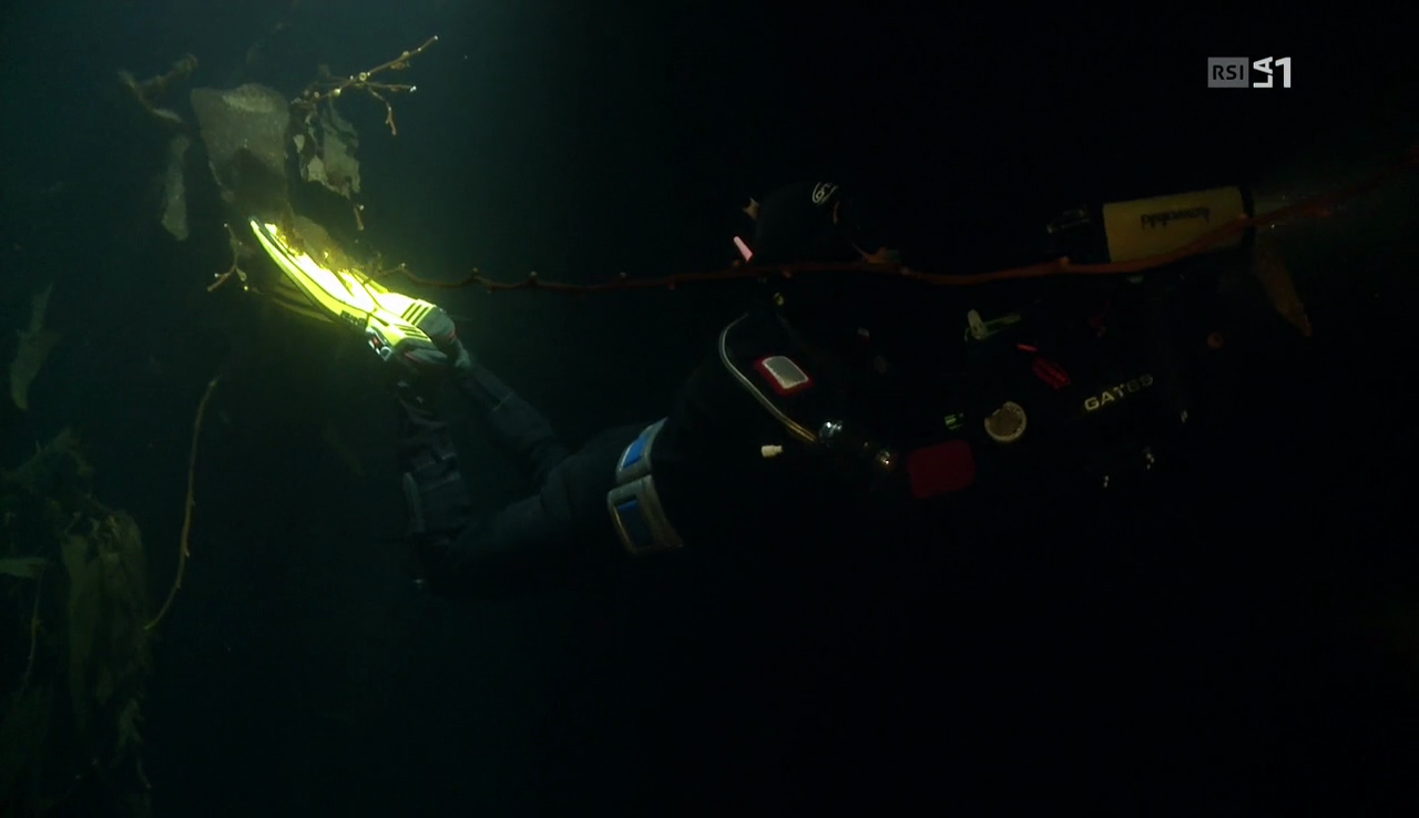 vlcsnap-2017-04-07-14h24m10s409