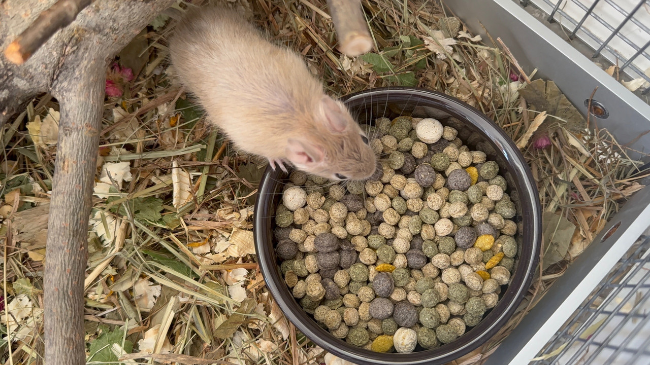 iBB4x0NzJsFW9lTWQAhiqmzXmREmO7ISuokOoS7Kq2NeUvnscucj0rlKUZuvmEZGhUWZ33JW7H4uHhTNYBAeNmNY