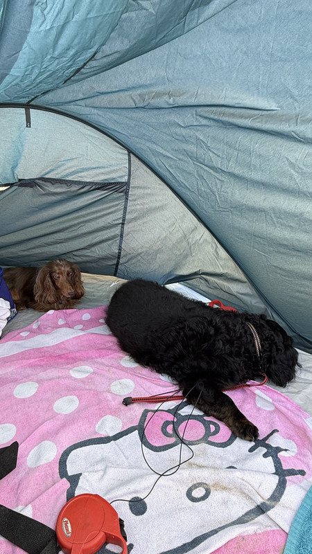 [Image: IMG-3656.jpg]