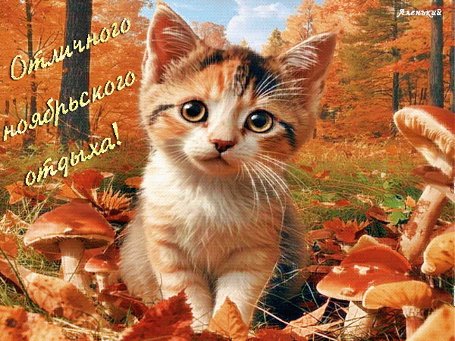 Отличного ноябьского отдыха