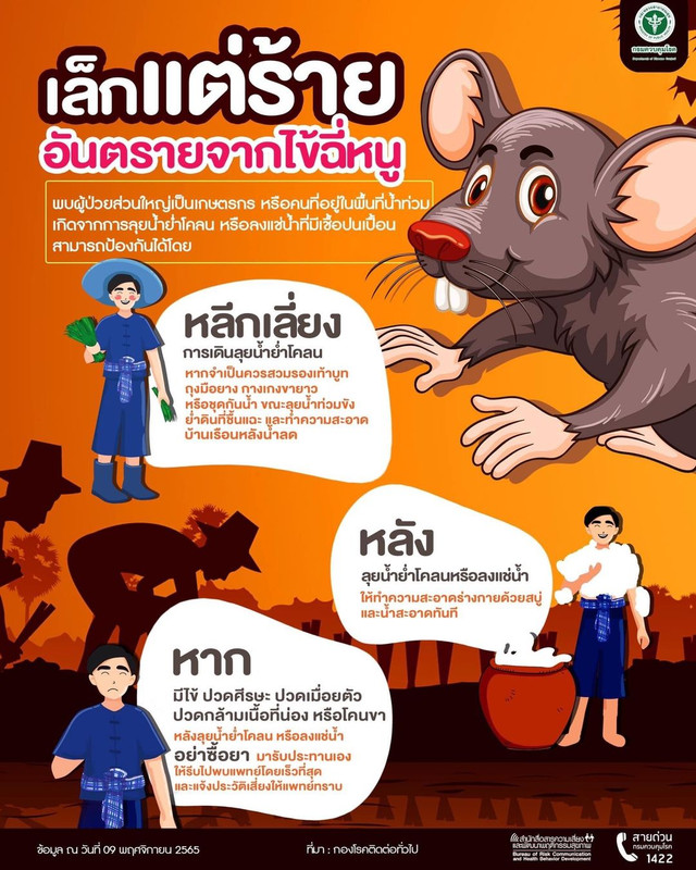 อันตรายจากไข้ฉี่หนู