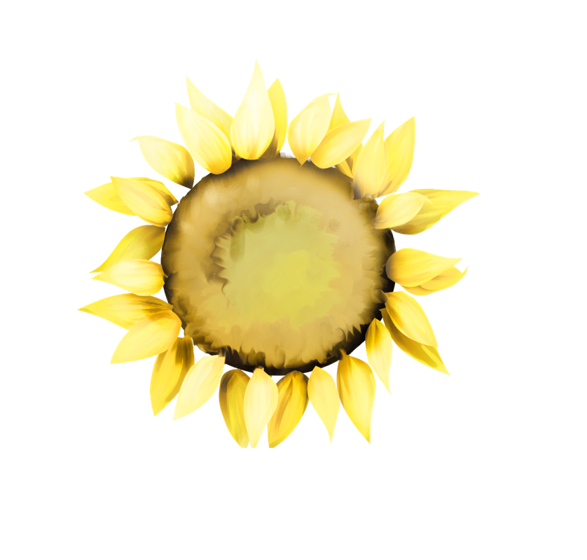 emeto_summer playground_sunflower 4