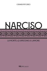 Ezio Pellizer, Barbara Castiglioni – I grandi miti greci. Narciso (2022)