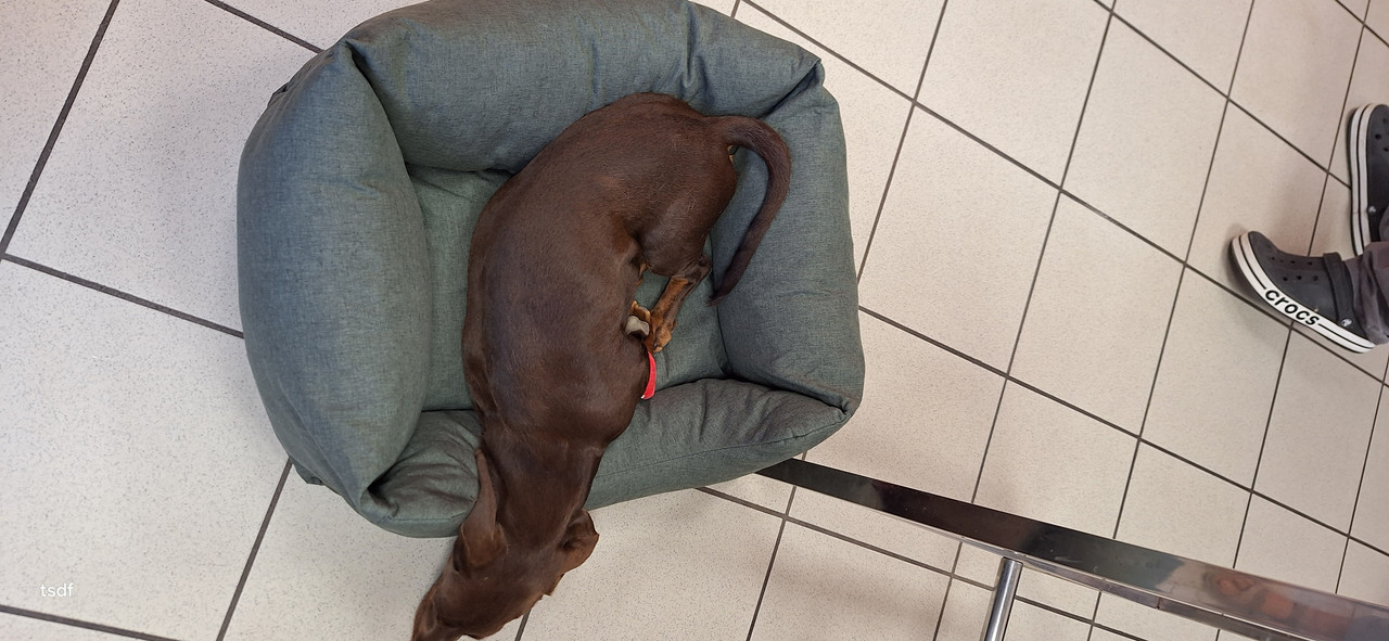 [Image: 20250807-173322.jpg]