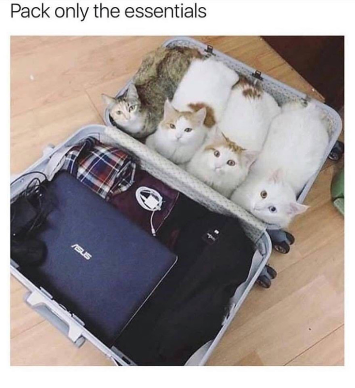 AED4887B-B37A-44A8-B0EF-7571A7FF1973