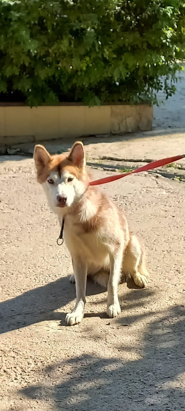 WhatsApp Image 2022-08-05 at 15.30.52 (2)