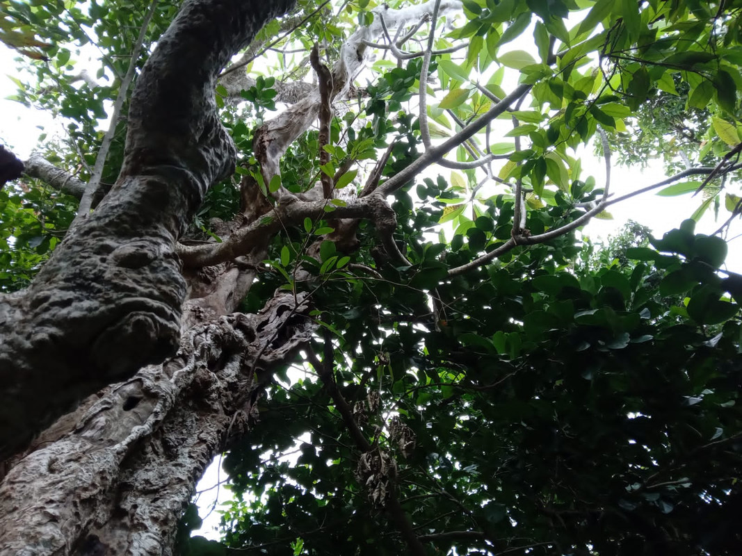 3F921961-0B60-4A31-830E-0A3F2097FF18