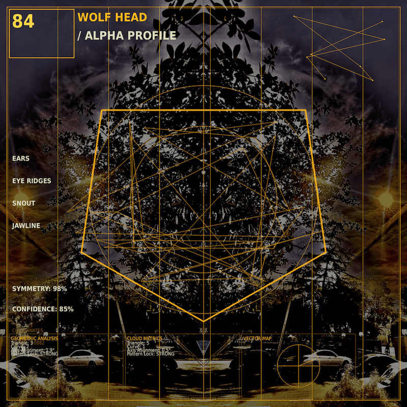 Wolf head