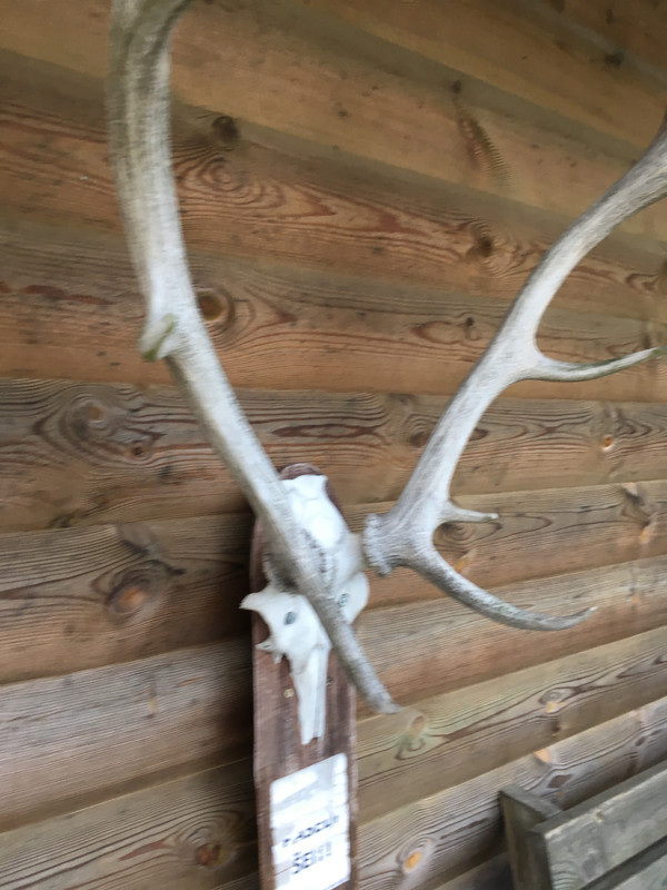 6DC2F142-DEC1-4D4B-A0B1-9B460F1BEE85