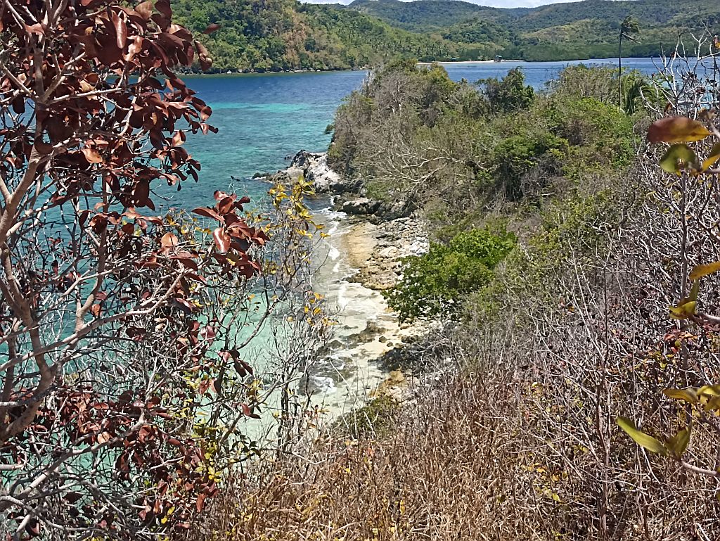 https://i.postimg.cc/Pxvd9HtC/IMG-20240504-124935.jpg