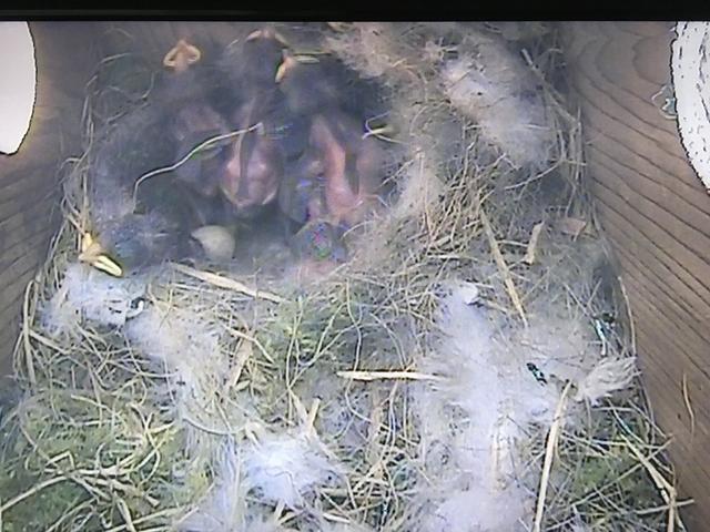 180990C3-28B1-40D5-A32F-BDA0089DA1D2