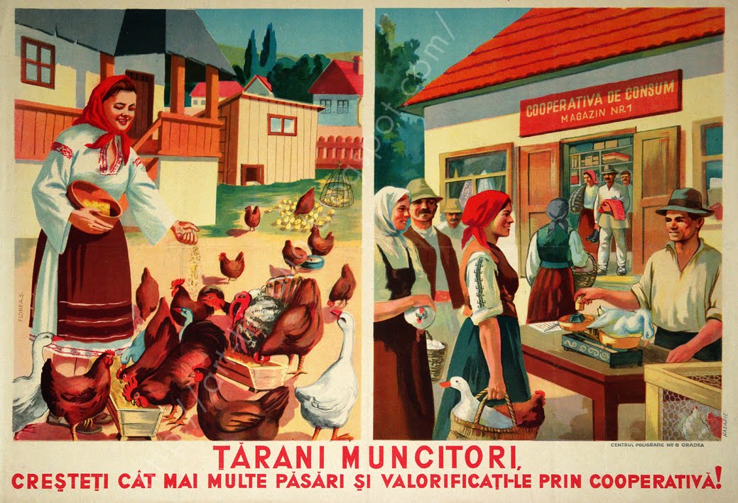 tarani-muncitori.jpg