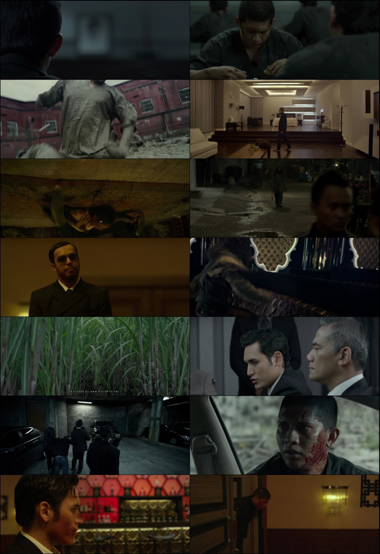 The Raid 2 (2014) 1080p | 720p | 480p BluRay [Hindi (हिन्दी) + English] DD5.1 ESub