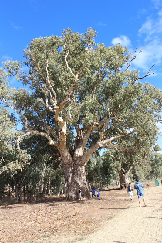 2021 Boys Googs Tk & Off-Track Desert Trip (172)