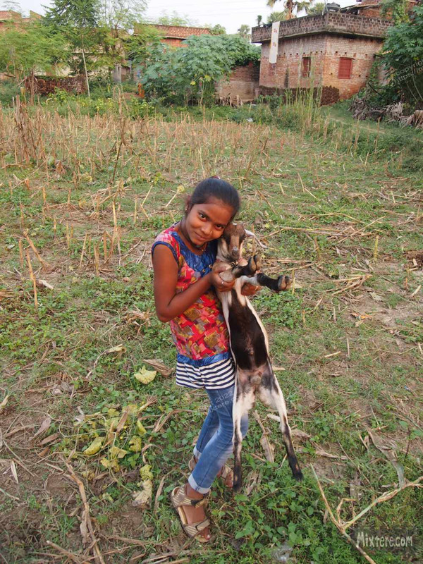 BBG&B6AroundTheGuesthousePics - 3