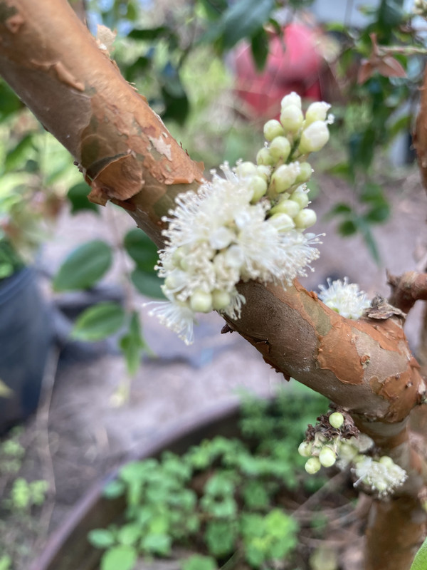 42B12C3C-9065-4F81-A37C-44DC57CEC1F6