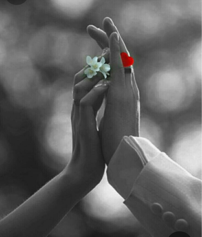 Screenshot_20240214_115451_Pinterest