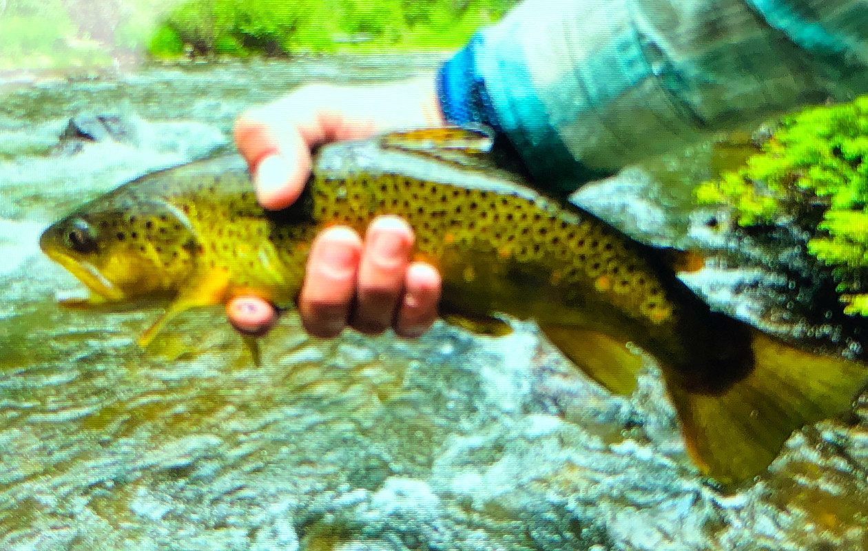 FDDFBADA-2486-496A-8F21-4F00566B19D1