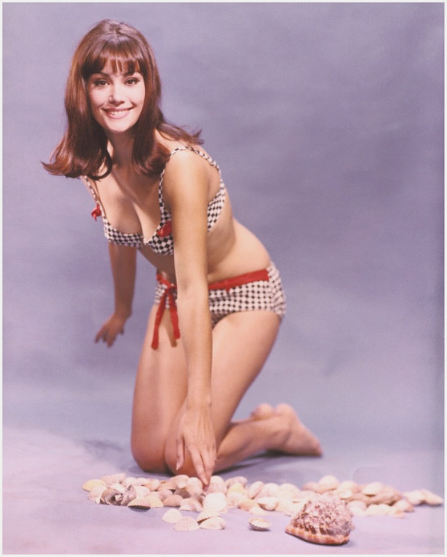 claudine_auger_ma88