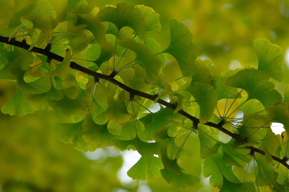20211030Dortmund_037_DxO