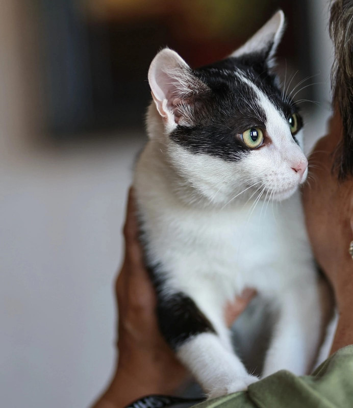 Изображение WhatsApp 2024-09-09 в 10.40.51_f60065a8