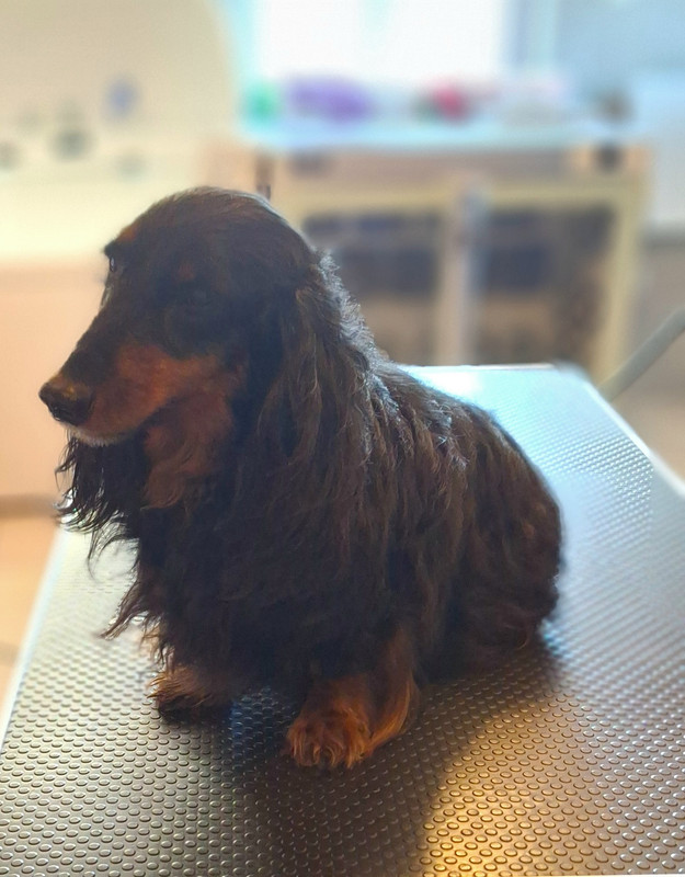 [Image: 20250313-172331.jpg]