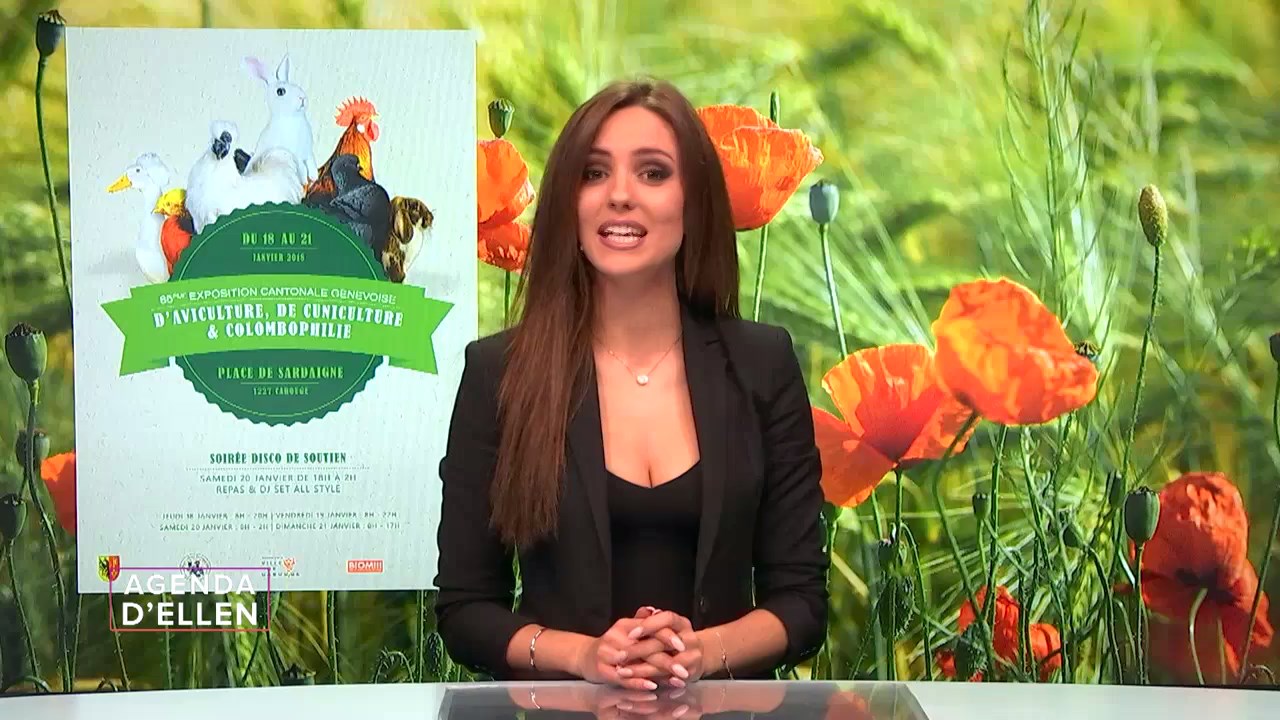 ellen 180118.mp4_snapshot_01.35_[2018.01.21_17.07.59]