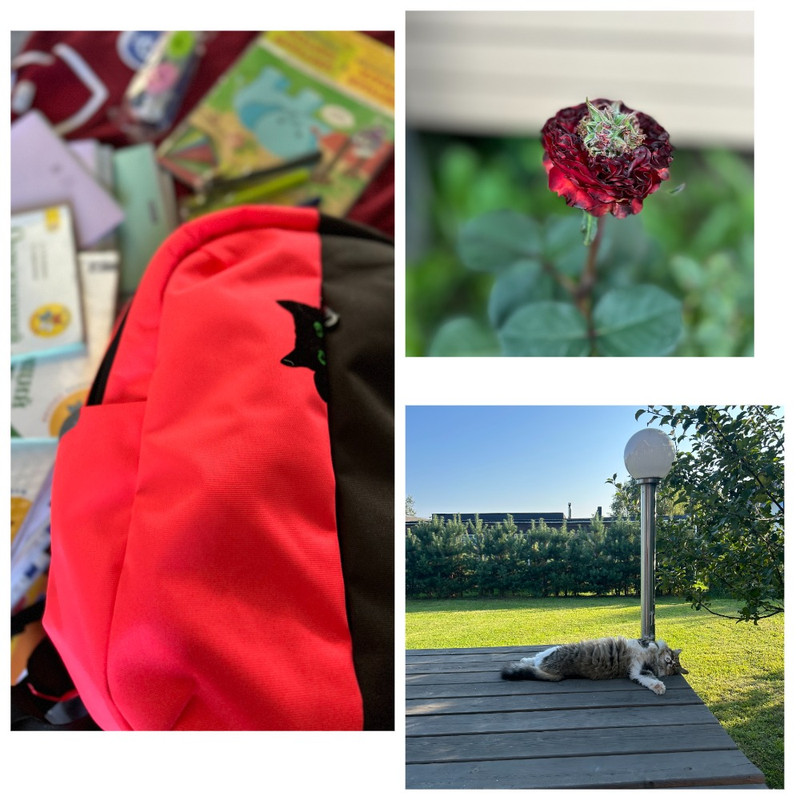 MyCollages - 2024-08-29T214750.474