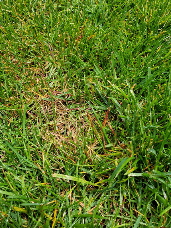 6DAEF3EE-C689-4B73-BB7C-220ABC21E28E