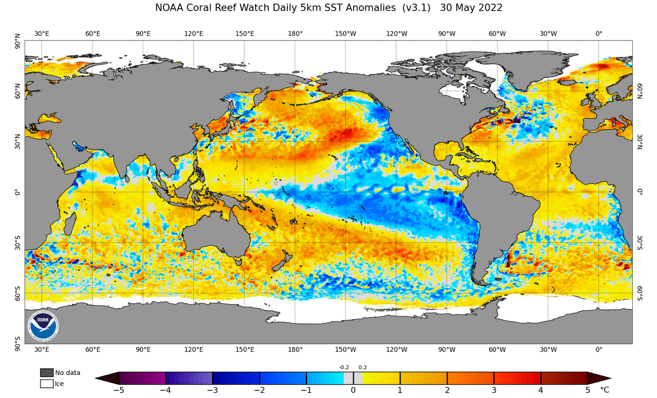 ssta-daily-current.png